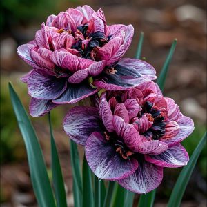 Нарцисс Моргатн Мотив купить по цене от 2000р. в интернет-магазине «Посадика» с доставкой почтой в в Махачкале и по всей России – [изображение №1].