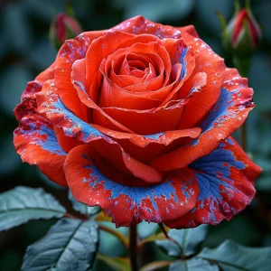 Роза Сикрет Гарден купить по цене от 619р. в интернет-магазине «Посадика» с доставкой почтой в в Махачкале и по всей России – [изображение №1].