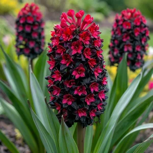 Гиацинт Джем Стоун купить по цене от 2099р. в интернет-магазине «Посадика» с доставкой почтой в в Махачкале и по всей России – [изображение №1].