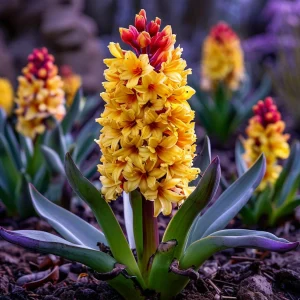 Гиацинт Миднайт Мистери купить по цене от 2099р. в интернет-магазине «Посадика» с доставкой почтой в в Махачкале и по всей России – [изображение №1].