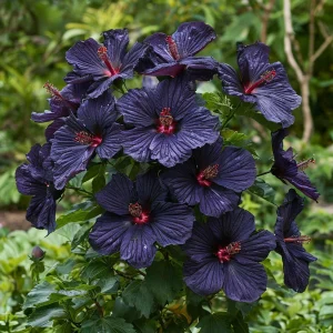 Гибискус Мэджик Момент купить по цене от 699р. в интернет-магазине «Посадика» с доставкой почтой в в Махачкале и по всей России – [изображение №1].