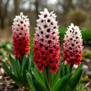 Гиацинт Скай Гарден купить по цене от 2099р. в интернет-магазине «Посадика» с доставкой почтой в в Махачкале и по всей России – [изображение №1].